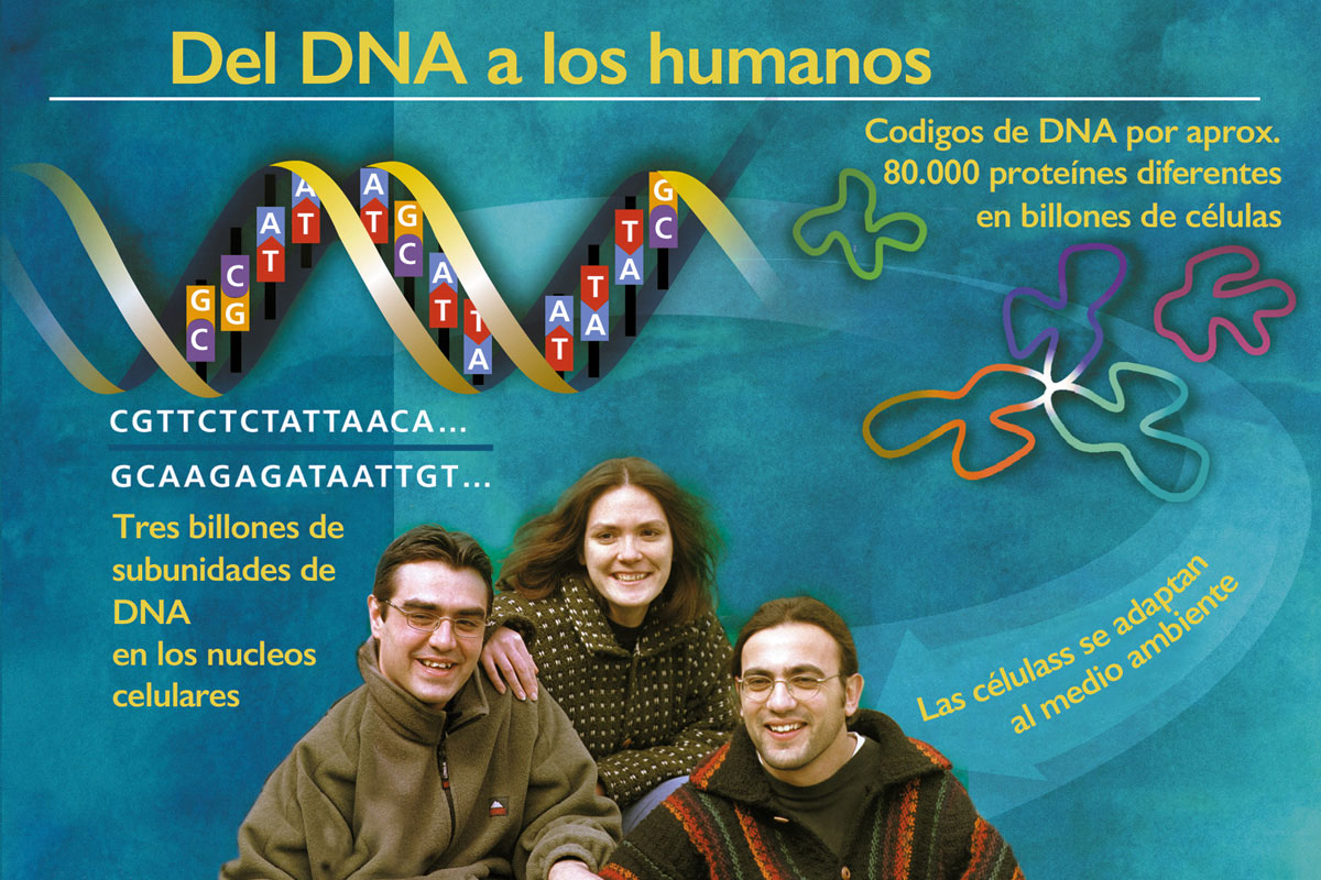 Terapia Genica Aplicaciones Del Genoma En La Salud Humana