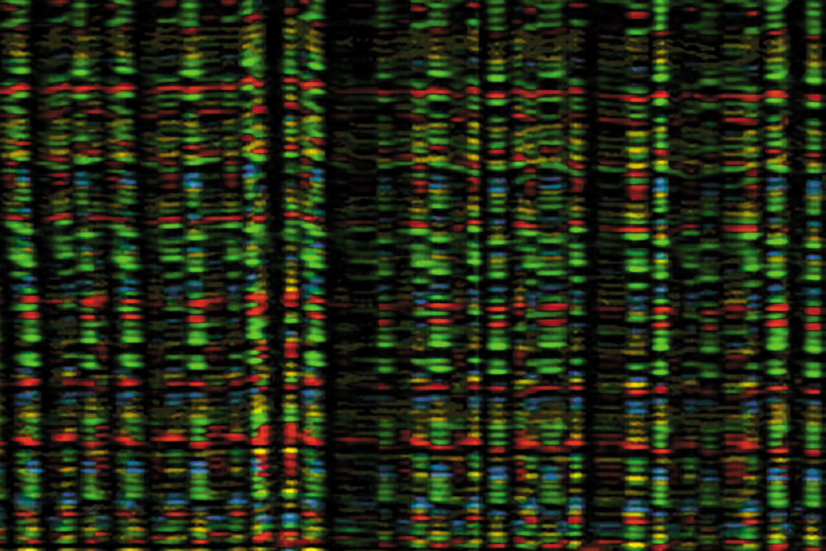 ¿Qué hay detrás del genoma?