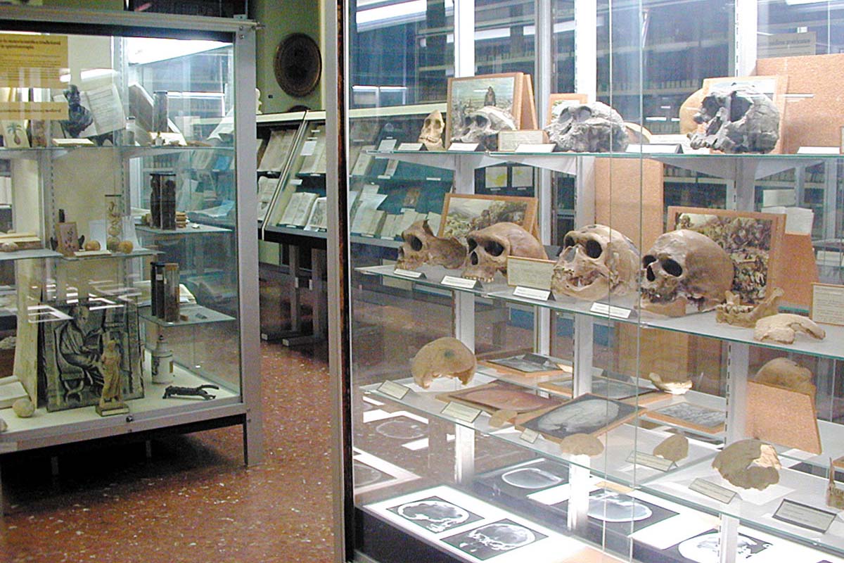 Museo Historicomédico UV