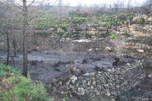 Tras los incendios aumenta la pérdida de suelo - ciclo hidrológico