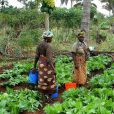 mujeres agrícolas ante el cambio climático