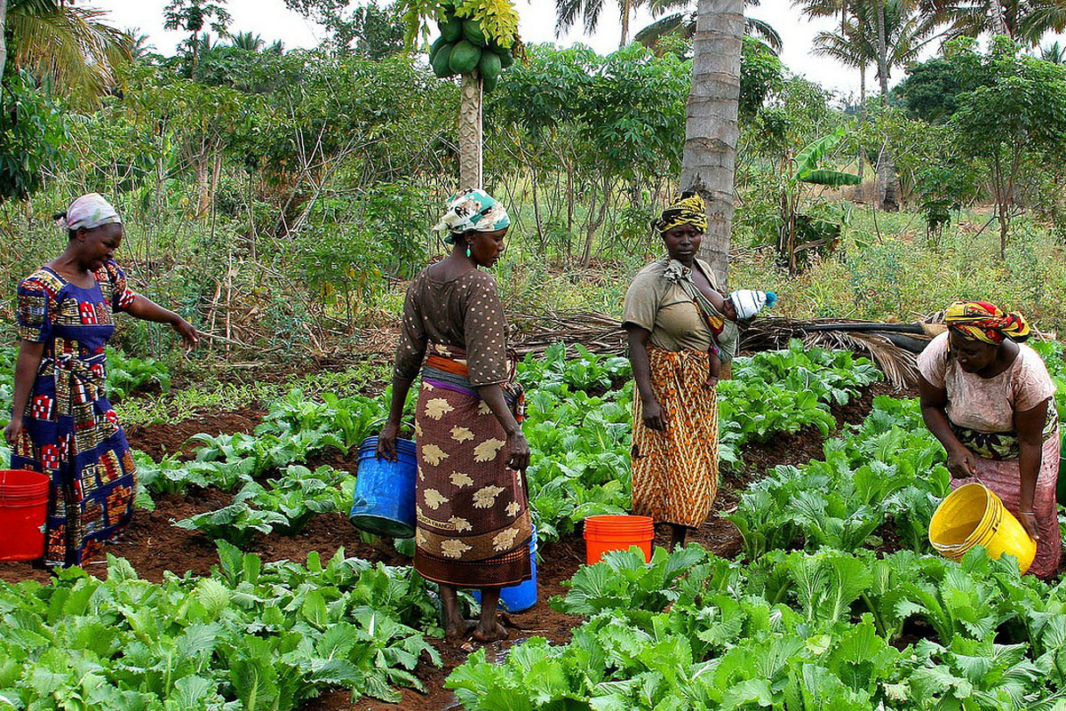 mujeres agrícolas ante el cambio climático