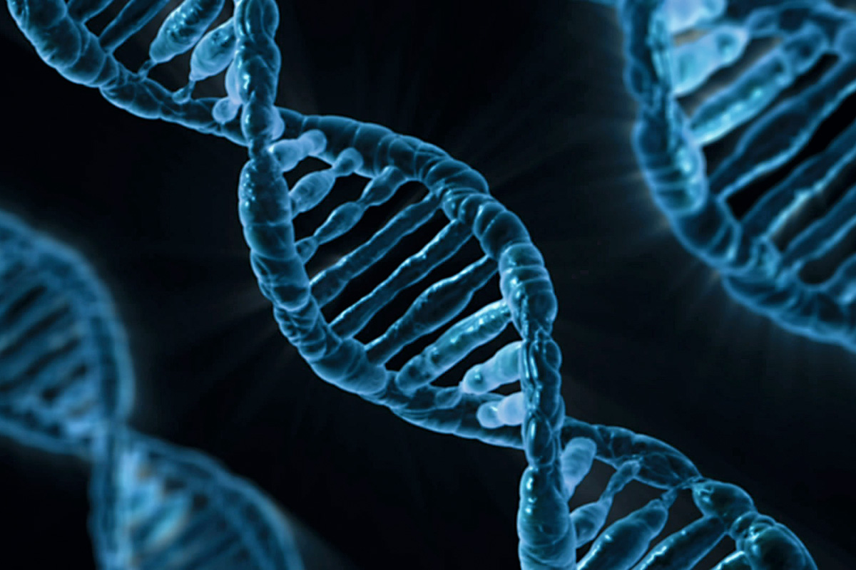 Las herramientas de edición genética CRISPR