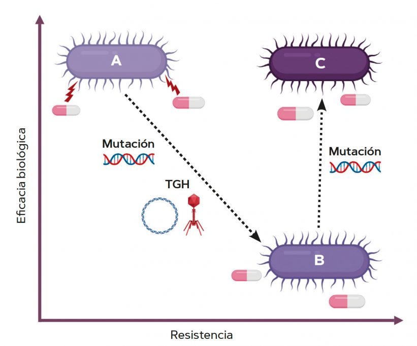 Resistencia a antibióticos