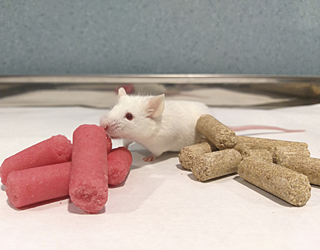 ratones dieta drogas
