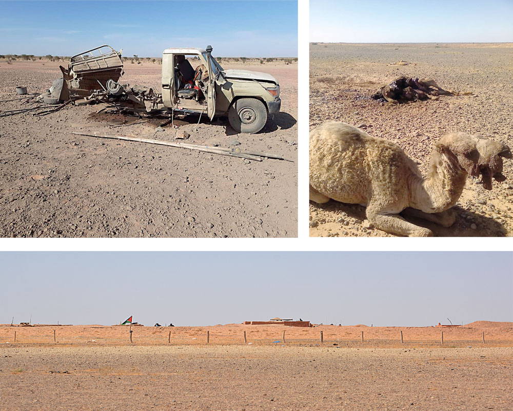 Sàhara Occidental mur