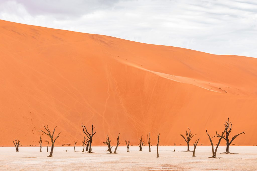 La esencia de Dead Vlei - Revista Mètode