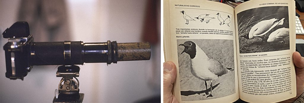 Cámara réflex utilizada por Tinbergen para fotografiar animales en estado salvaje.
