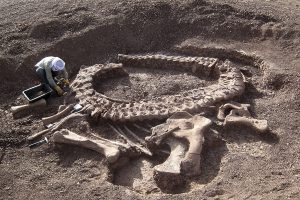 Excavación del dinosaurio saurópodo Spinophorosaurus nigerensis en 2007 en las proximidades de Agadez (Níger) por parte del proyecto PalDes (Paleontología y Desarrollo).