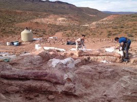Excavació de Patagotitan mayorum