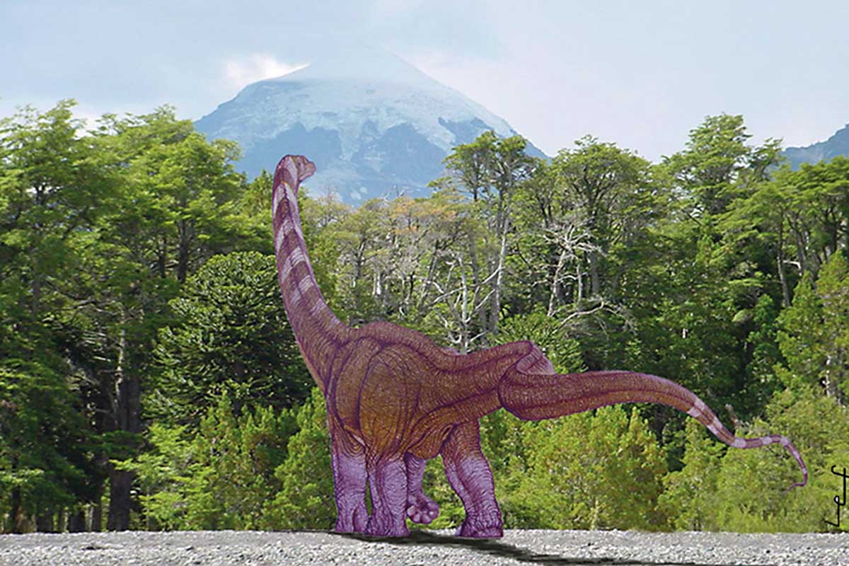 Figura 1. Representació d’un Argyrosaurus superbus.