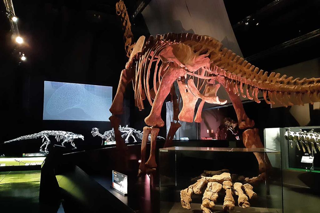 Sala de los Dinosaurios del museo paleontológico de Dinópolis en la ciudad de Teruel