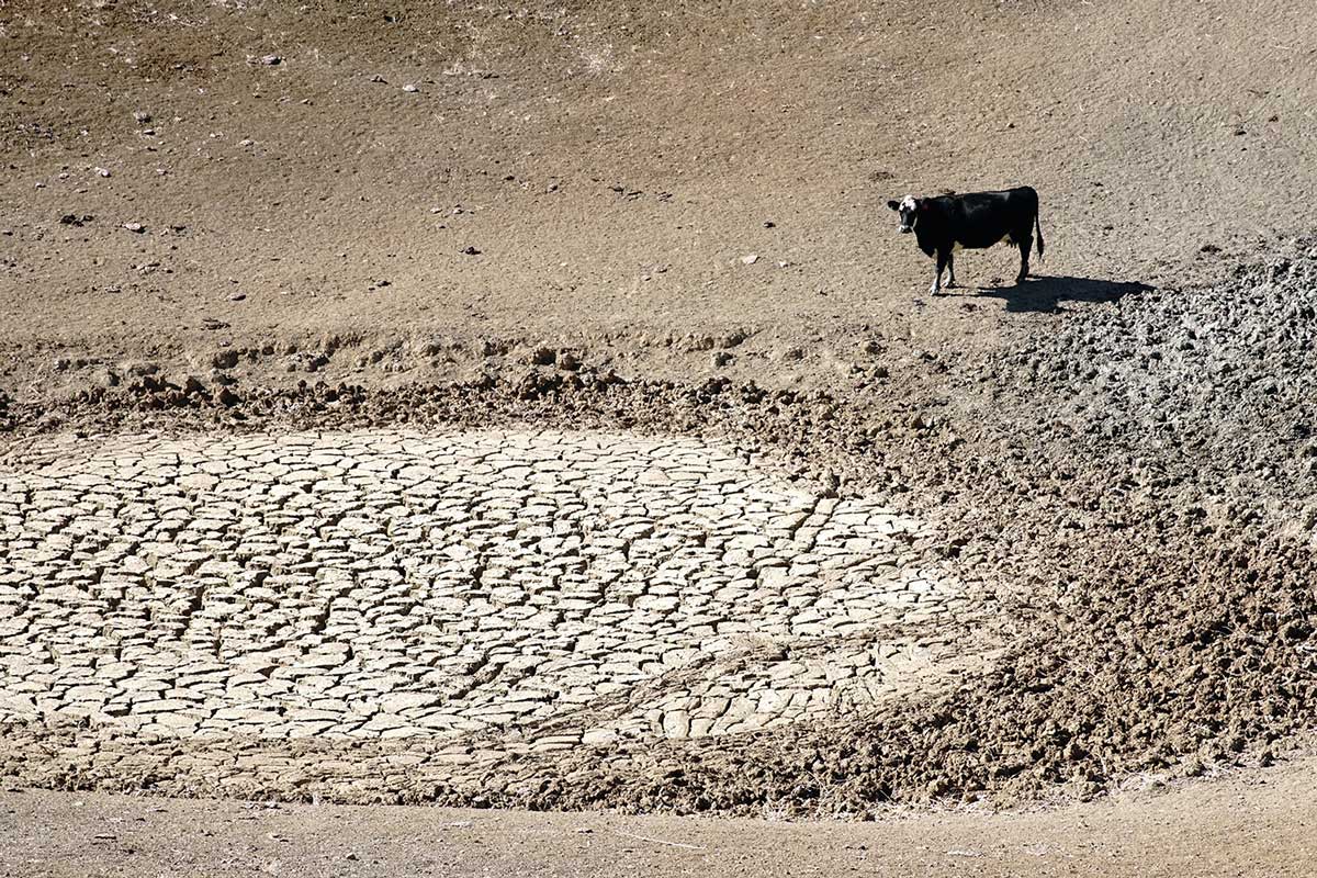 Sequía y agricultura