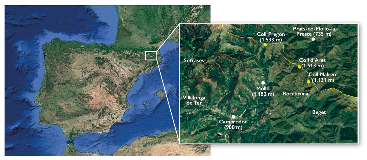 Ámbito geográfico de los collados (en catalán colls) de Malrem, de Ares y Pregon, y las ubicaciones de Camprodon, Molló y Prats de Molló