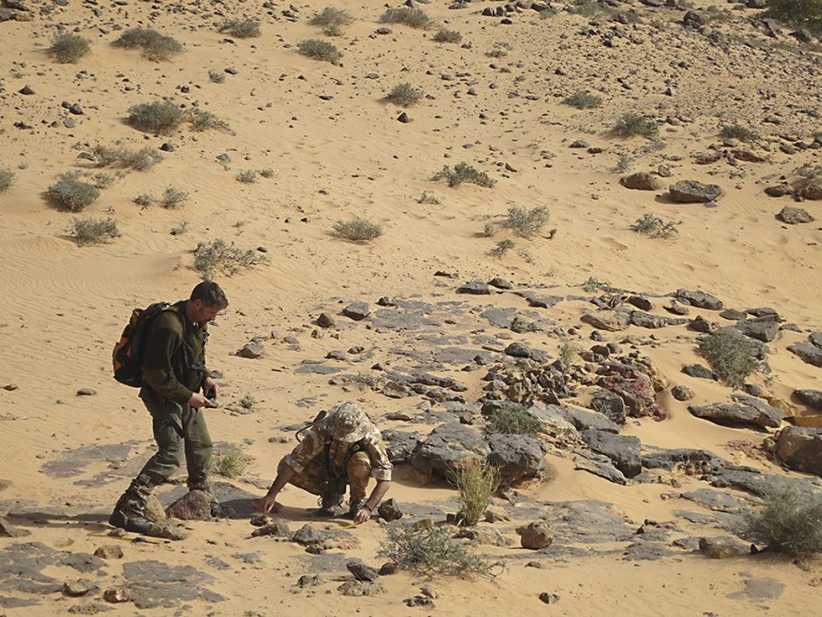 La presencia en el territorio de estudio es fundamental para detectar fauna del desierto. En la imagen, toma de muestras de gacelas dorcas 