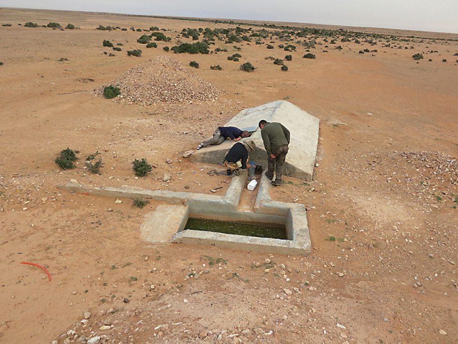 Inspección de aljibes para detectar fauna del desierto