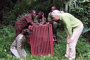 Jane Goodall con una jaula de un chimpancé