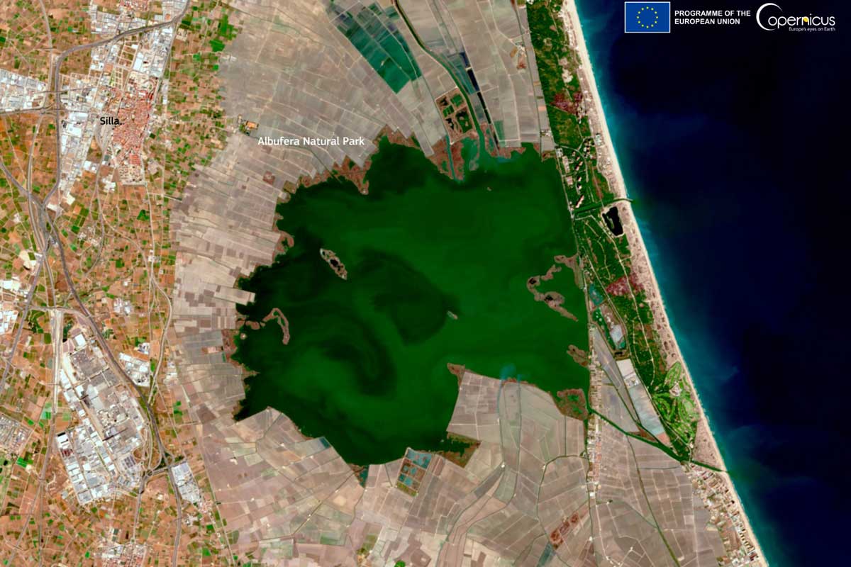Imatge satèl·lit Albufera de València