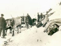 El éxodo de miles de exiliados republicanos durante el invierno en 1939