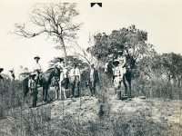 cafetar Caballo Blanco de Guatemala