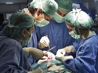 tipos de dolor