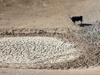 Sequía y agricultura